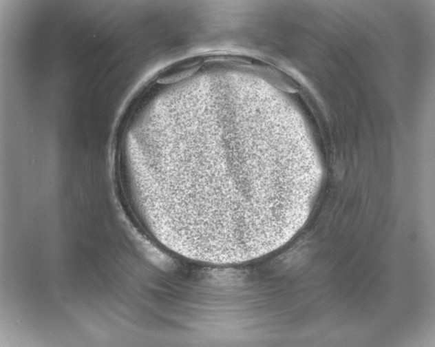 X0000074291416200609222257