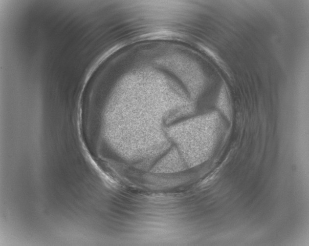 X0000074291418200609222257