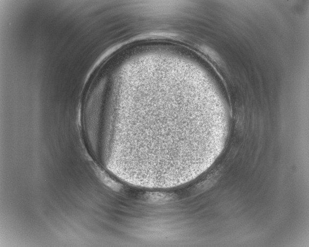 X0000074291420200609222257