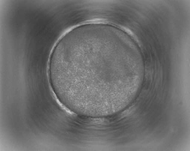 X0000074291421200609222257