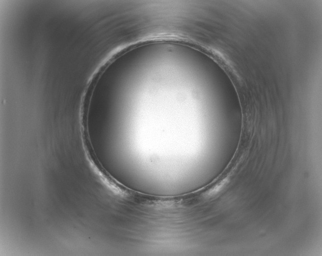 X0000074291422200609222257