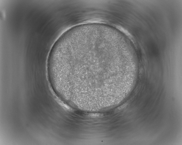 X0000074291423200609222257