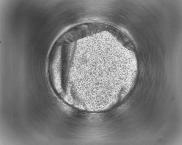 X0000074291424200609222257