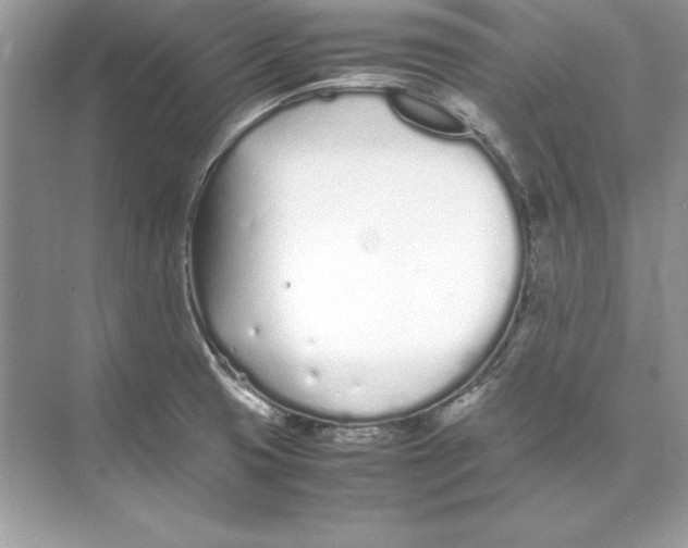 X0000074291425200609222257