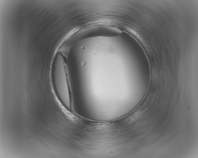 X0000074291426200609222257