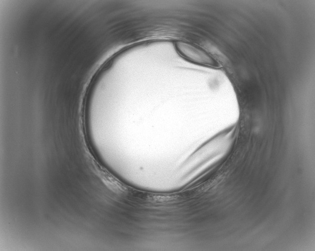 X0000074291427200609222257