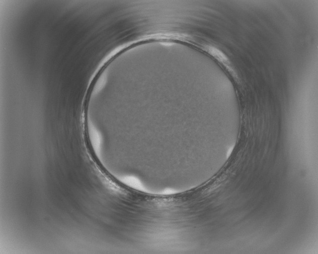 X0000074291428200609222257