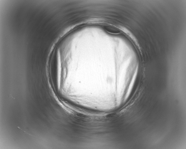 X0000074291429200609222257