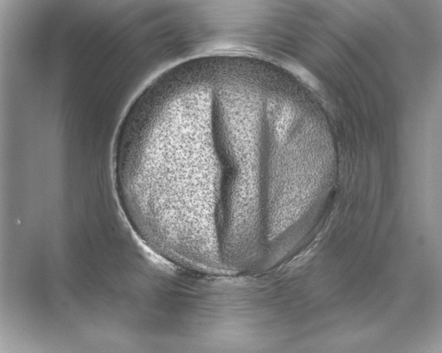 X0000074291430200609222257