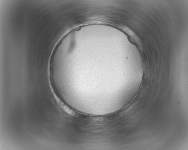 X0000074291431200609222257