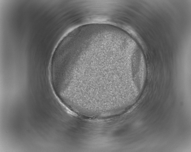 X0000074291432200609222257