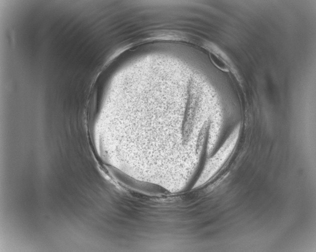 X0000074291433200609222257