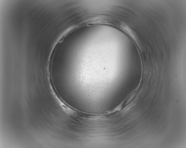 X0000074291434200609222257