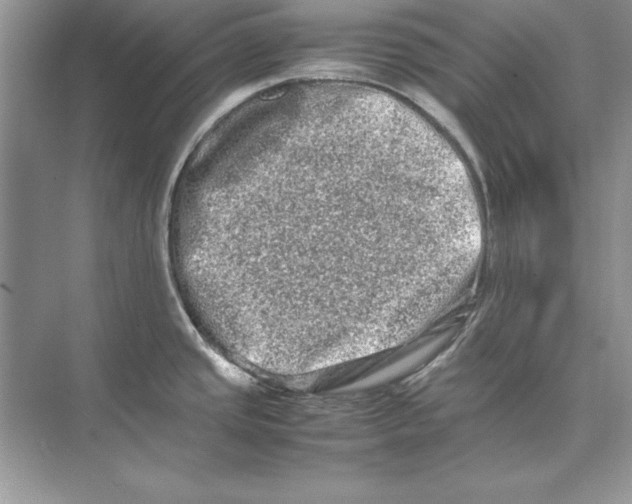 X0000074291437200609222258