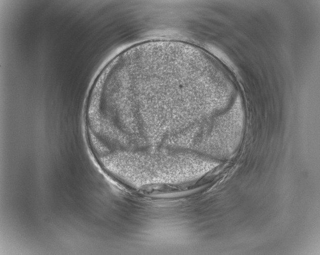 X0000074291440200609222258