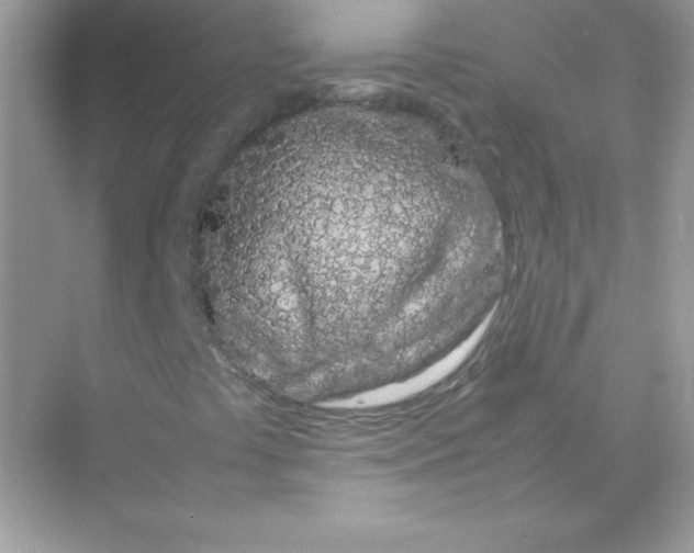 X0000074291441200609222257