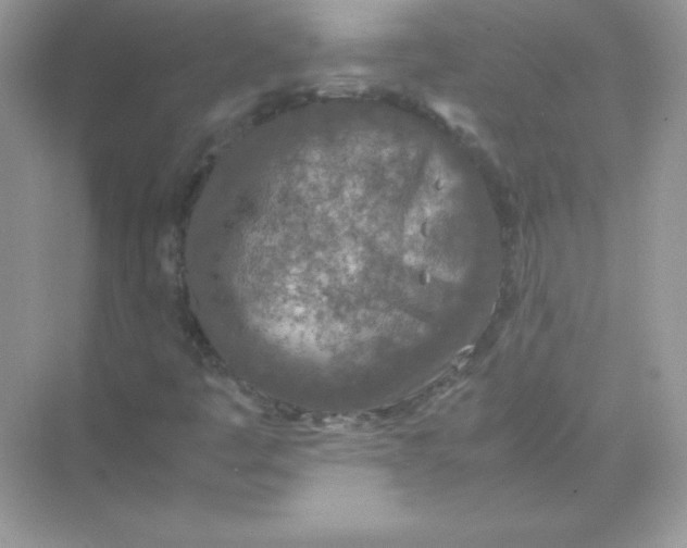 X0000074291445200609222257