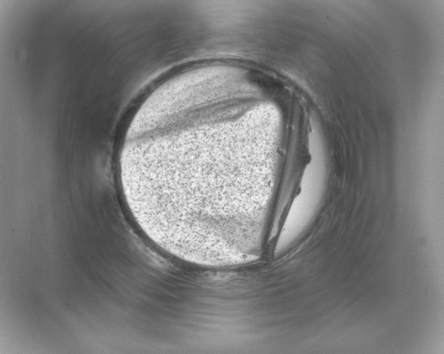 X0000074291452200609222257