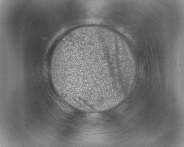 X0000074291454200609222257