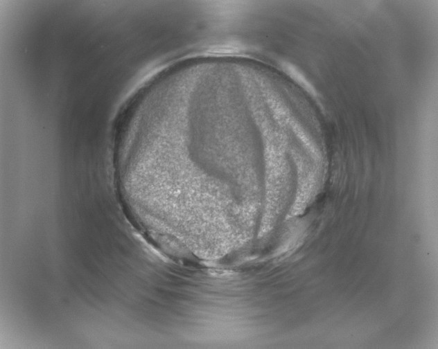 X0000074291456200609222256