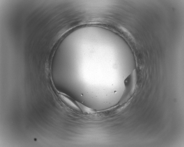 X0000074291457200609222256