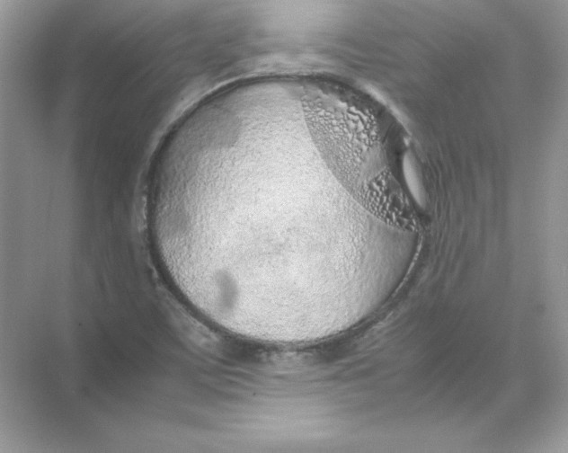 X0000074291459200609222256