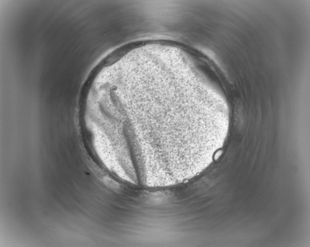 X0000074291460200609222256