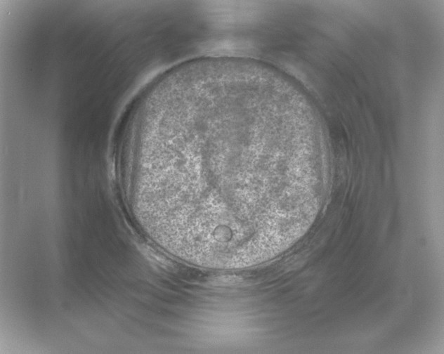 X0000074291462200609222256