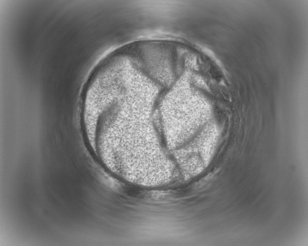 X0000074291463200609222256