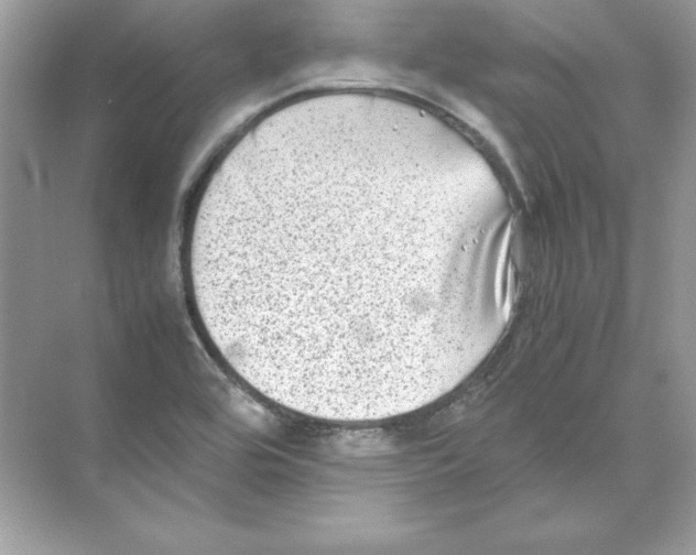 X0000074291464200609222256