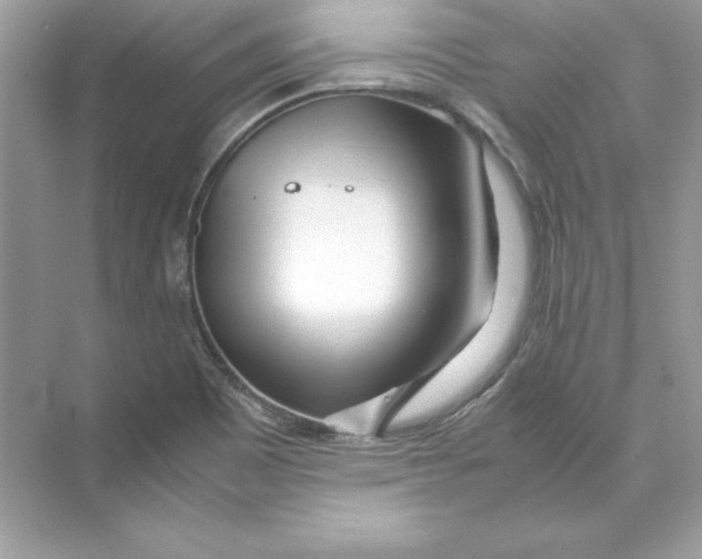 X0000074291465200609222256