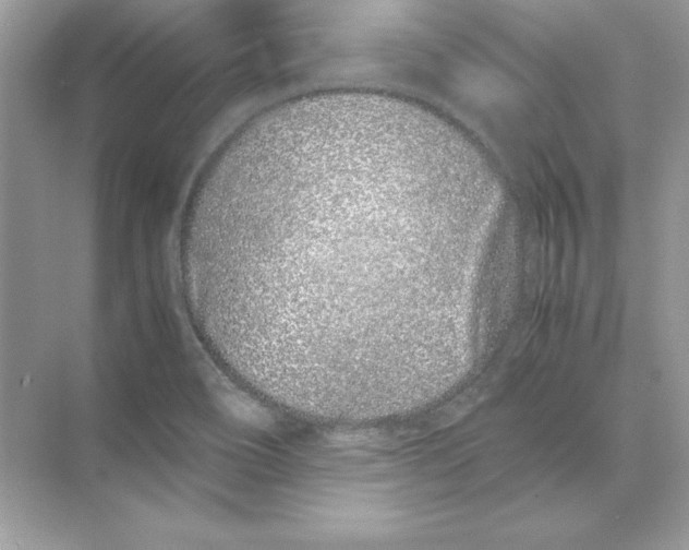 X0000074291466200609222256