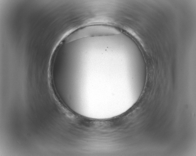 X0000074291469200609222256