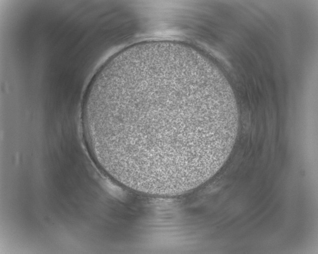 X0000074291470200609222256