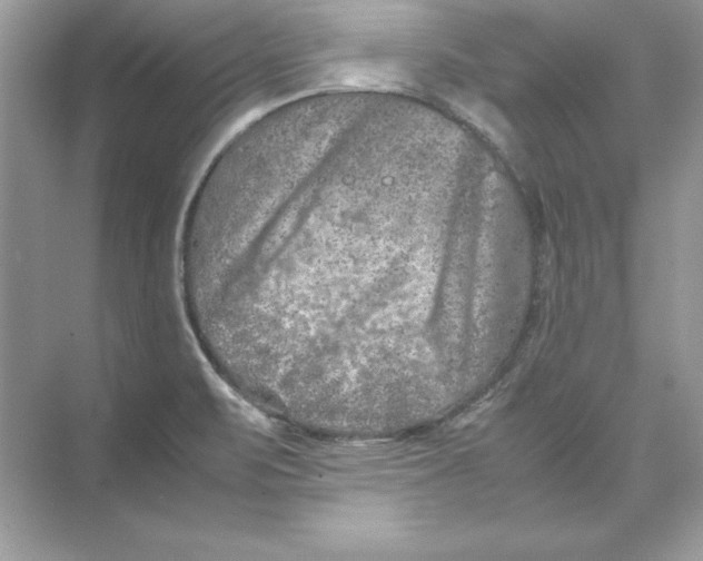 X0000074291471200609222256