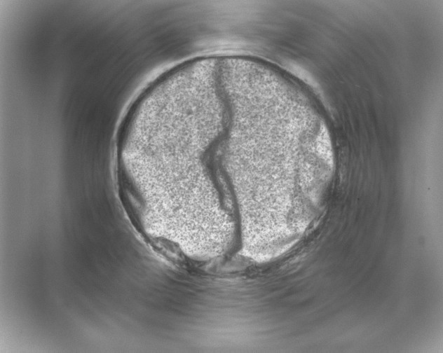 X0000074291472200609222256