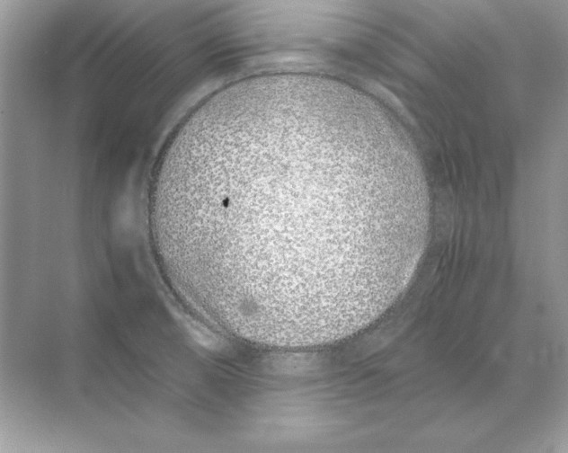 X0000074291474200609222256