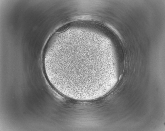 X0000074291475200609222256