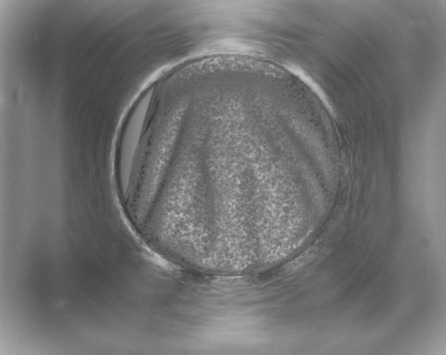 X0000074291477200609222256