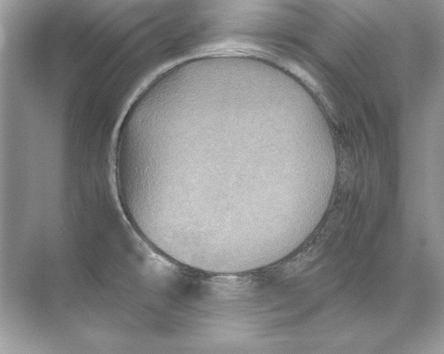 X0000074291478200609222256