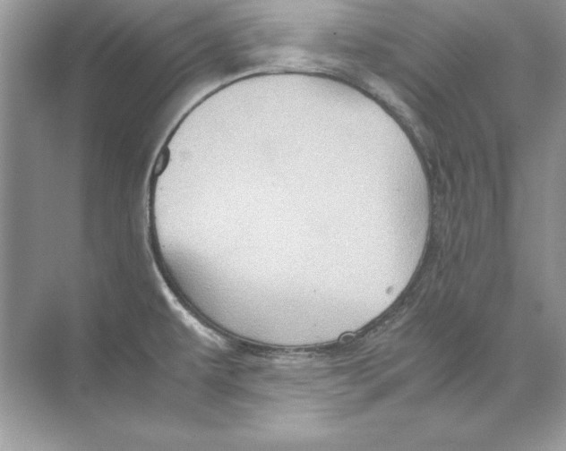 X0000074291479200609222256