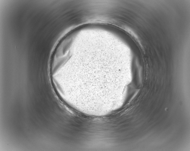 X0000074291480200609222256