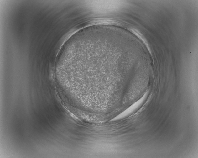 X0000074291481200609222256