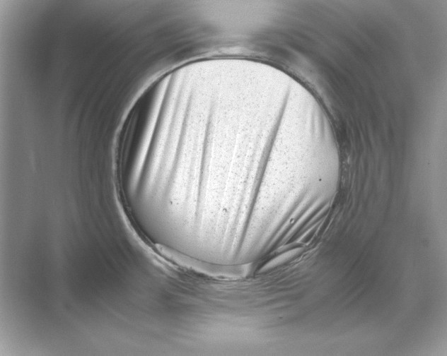 X0000074291483200609222256