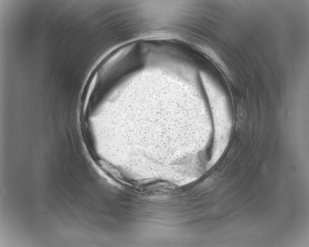 X0000074291484200609222256