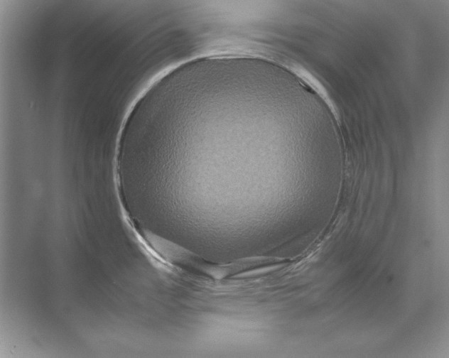 X0000074291485200609222256