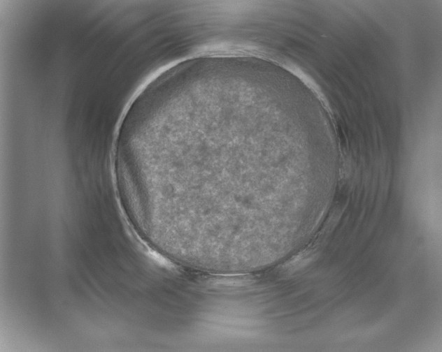 X0000074291486200609222256