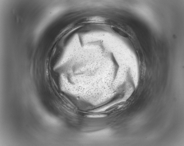 X0000074291487200609222256