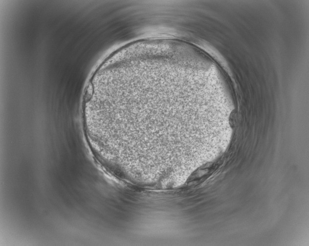 X0000074291488200609222256