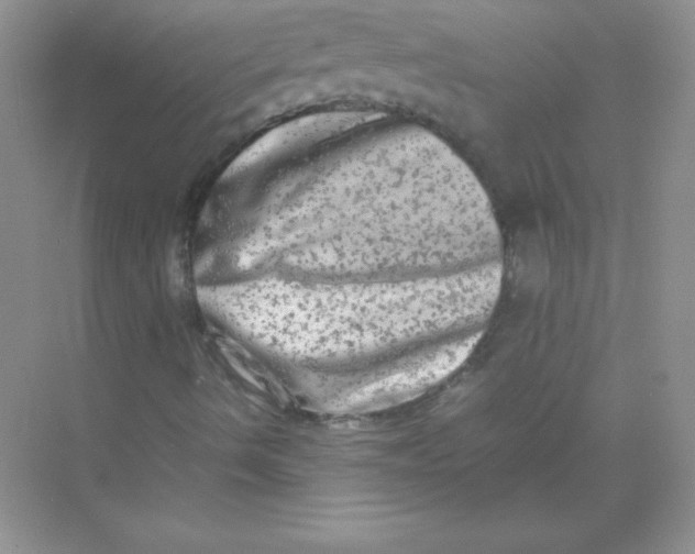 X0000074291490200609222255